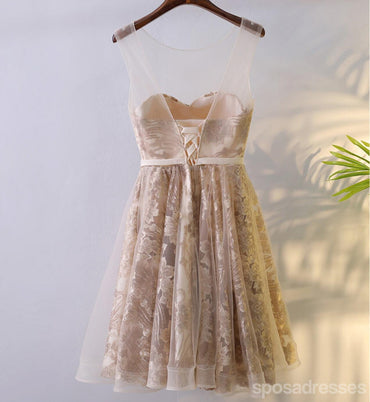 Δαντέλα στρογγυλή λαιμόκοψη Κοντά φορέματα Prom Homecoming, Προσιτό φόρεμα με κορσέ πίσω κοντό πάρτι, Τέλεια φορέματα Homecoming, CM246