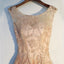 Esmoquin de encaje transparente, vestido de fiesta de encaje, vestido de baile a medida, vestido de baile oficial barato, 17189.