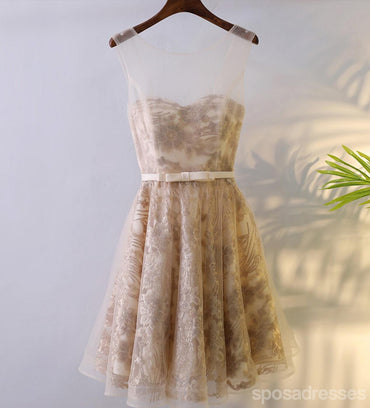 Δαντέλα στρογγυλή λαιμόκοψη Κοντά φορέματα Prom Homecoming, Προσιτό φόρεμα με κορσέ πίσω κοντό πάρτι, Τέλεια φορέματα Homecoming, CM246